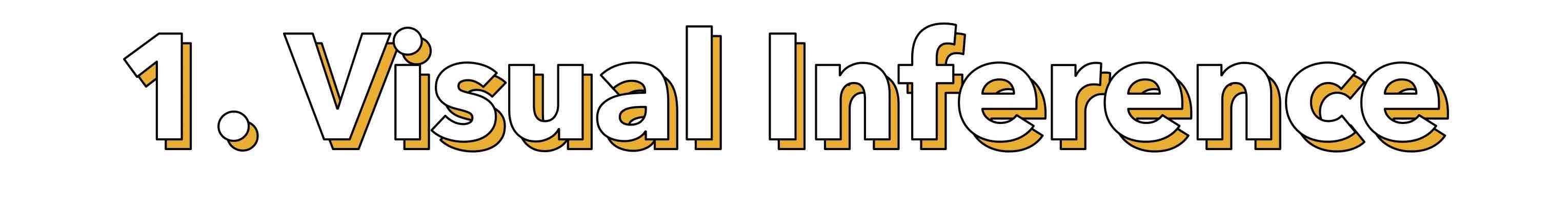 Visual Inference