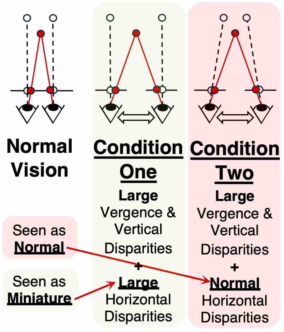 Visual Scale